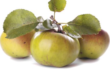 Beyaz arkaplanda taze elmalar