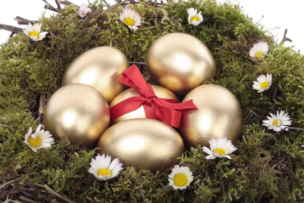 Gouden Pasen eieren in het nest van de vogel over de witte — Stockfoto
