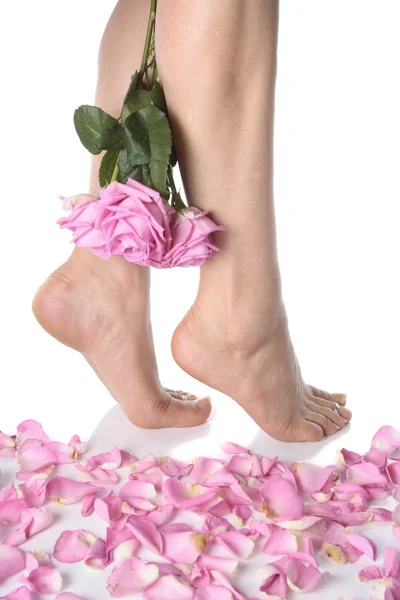 Kobiece stopy z kwiaty na białym tle nad białym — Zdjęcie stockowe