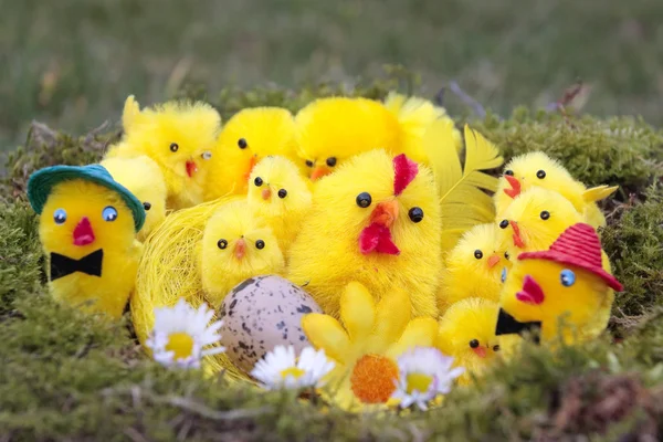 Pulcini di Pasqua su sfondo erba — Foto Stock