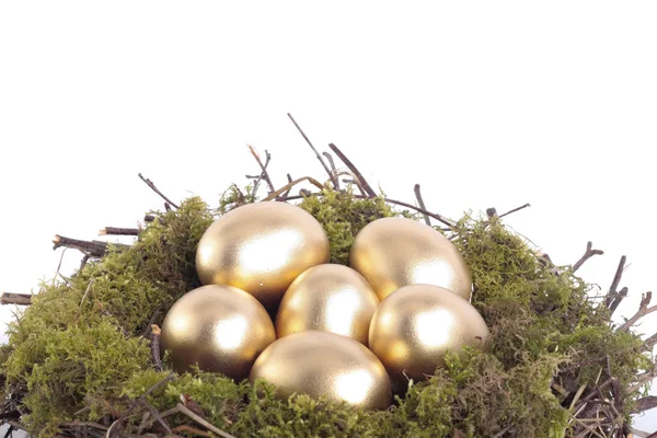 Uova d'oro nel nido d'uccello su bianco — Foto Stock
