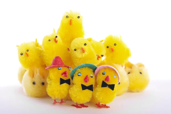 stock image Easter chick eggs over white