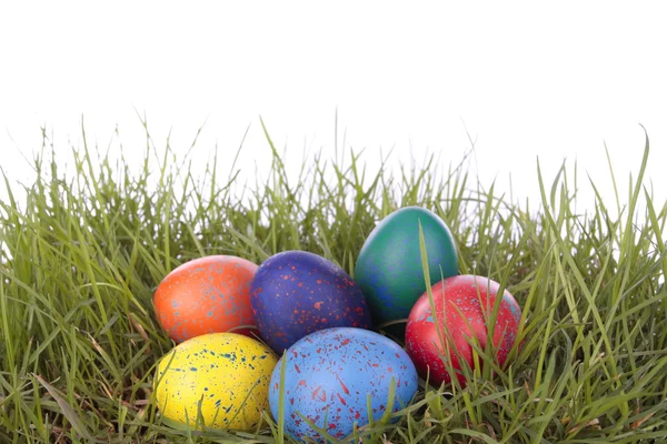Uova di Pasqua colorate su erba sopra bianco — Foto Stock
