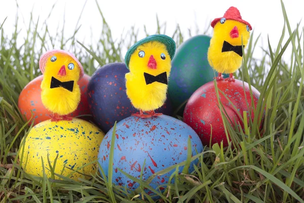 Easter chicks and eggs on grass — Stock Photo, Image