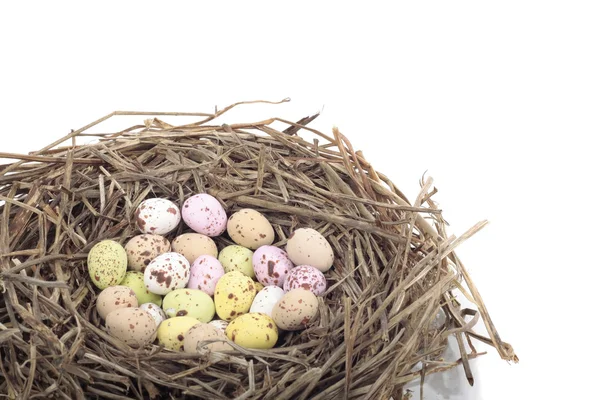 Цветные пасхальные яйца в птичьем гнезде на белом — стоковое фото