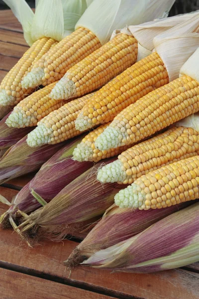 Bunch of ripe corn on basket — Stock Photo, Image
