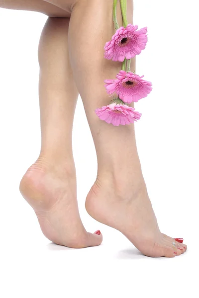 Pernas femininas com flores isoladas sobre fundo branco — Fotografia de Stock