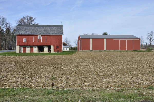 Old and new red barns — Stock Photo, Image