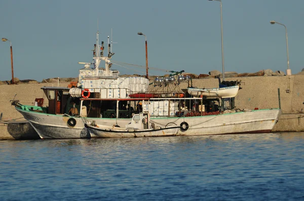 Рибальські човни в гавані — стокове фото