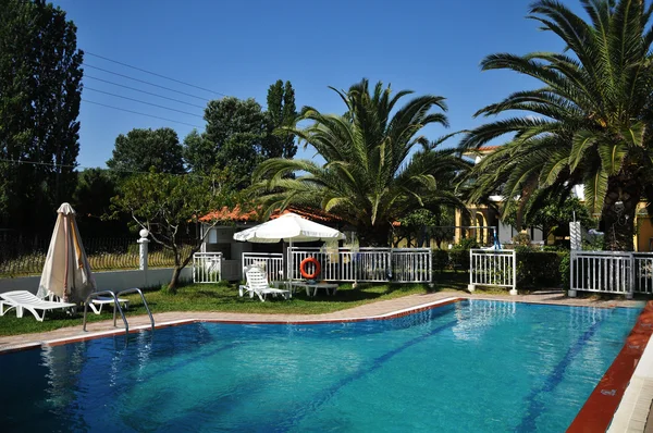 Zwembad met ligstoelen en palmbomen — Stockfoto