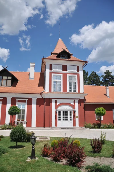 Hermoso castillo medieval en Vojvodina —  Fotos de Stock