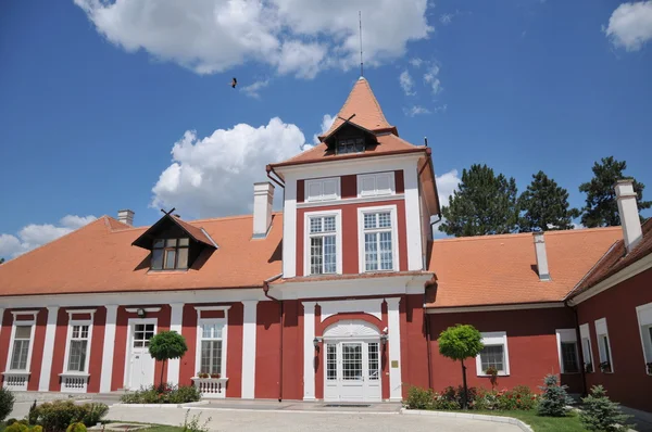 Schöne mittelalterliche Burg in der Vojvodina — Stockfoto