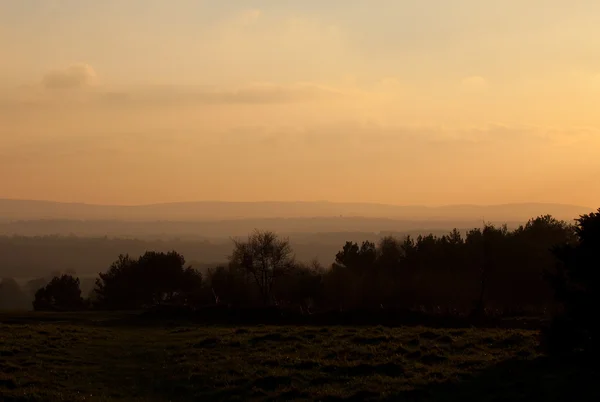 Ashdown Forest Evening — Stock Photo, Image
