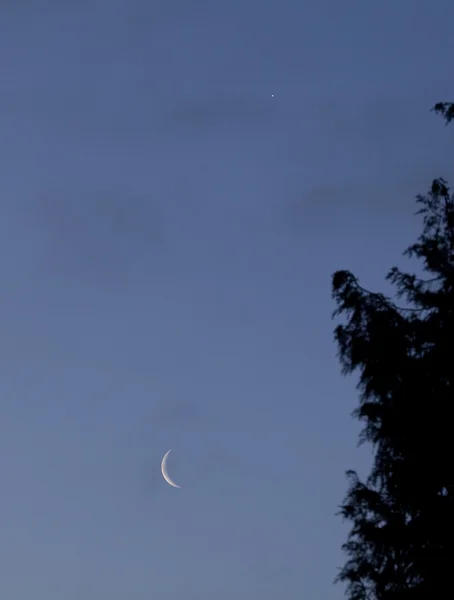 Luna creciente y Venus — Foto de Stock