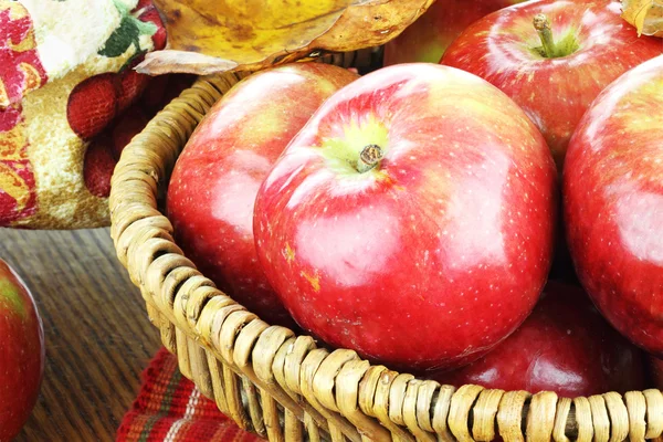 Sklizní jablek — Stock fotografie