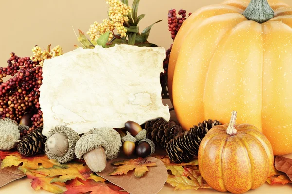 Tomt kort med höstens display — Stockfoto