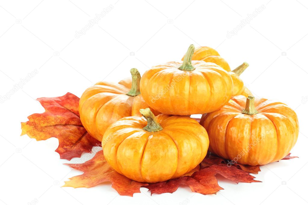 Pumpkins and Autumn Leaves