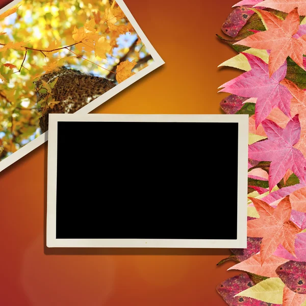 Sonbahar yaprakları ve fotoğraf arka plan — Stok fotoğraf