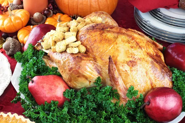 Holiday Turkey Dinner — Stock Photo, Image