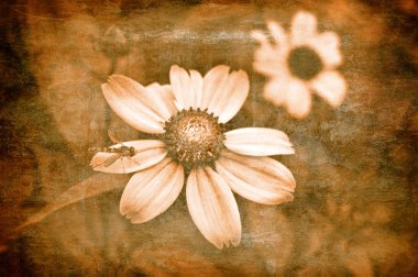 Art grunge floral background clipart