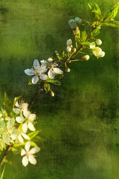 Kunst grunge floral achtergrond — Stockfoto