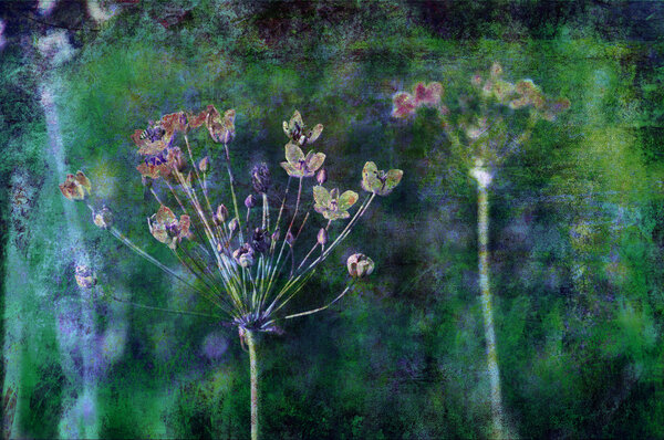 Искусство гранж цветочный фон
