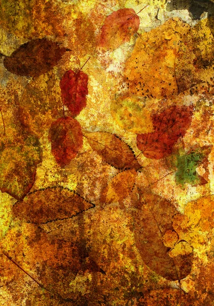 秋天的树叶与艺术 grunge 背景 — 图库照片