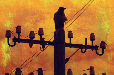 Orange grunge background with crow on the wire clipart