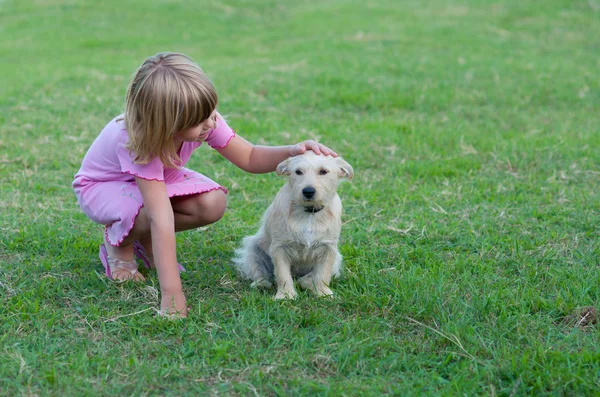 작은 하얀 강아지와 노는 소녀. — 스톡 사진