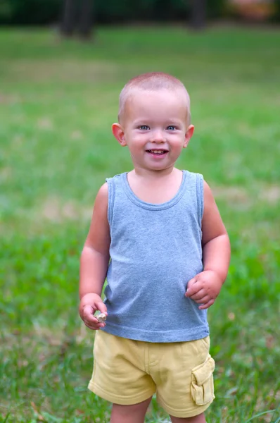 Cute little boy with beautiful smile plays in the grass — Stock Photo ...