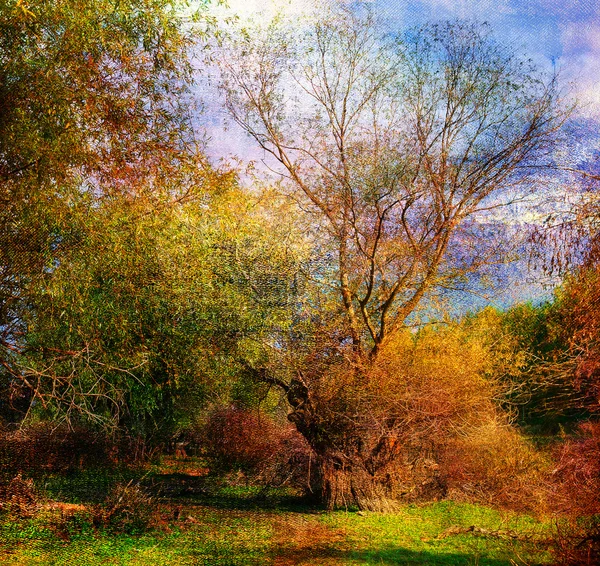 Art grunge landscape showing colorful wild forest on beautiful autumn day. — Stock Photo, Image