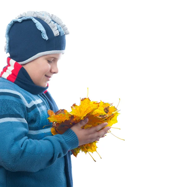 Sonbahar yaprakları demet tutarken tombul genç oğlan gülümsüyor — Stok fotoğraf