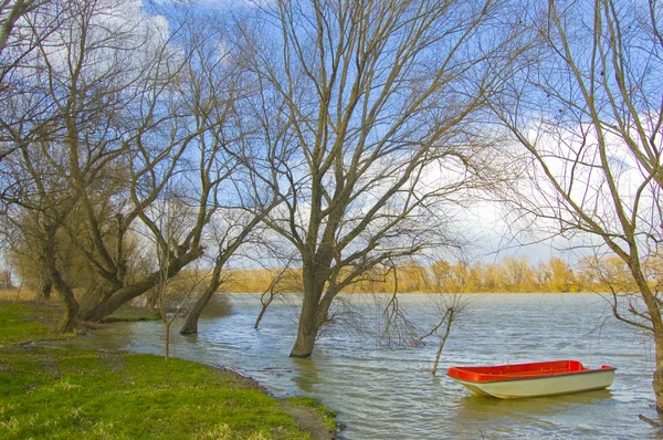 Kırmızı plastik tekne nehirde yüzen güzel güneşli yaz gününde — Stok fotoğraf