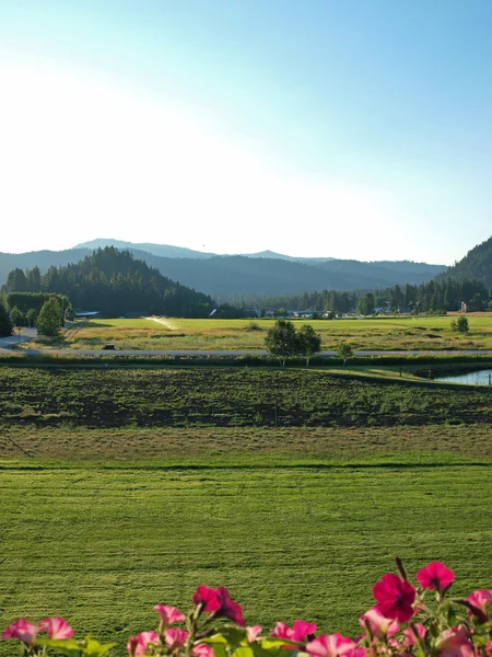 Een land uitzicht op de bergen vanaf een bloemrijke balkon — Stockfoto