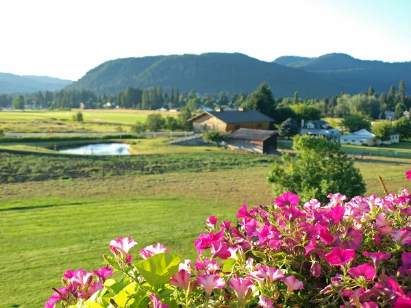 Een land uitzicht op de bergen vanaf een bloemrijke balkon — Stockfoto