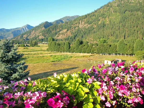 Sebuah Pemandangan Negara Pegunungan Dari Balkon Bunga — Stok Foto