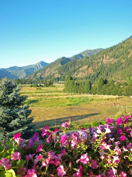 Una vista sulla campagna montana da un balcone fiorito — Foto Stock