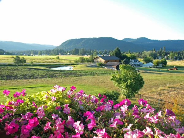 Una vista al campo de montaña desde un balcón florido — Foto de Stock