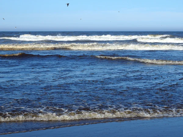 Oceanu fale na brzeg w jasny, słoneczny dzień — Zdjęcie stockowe
