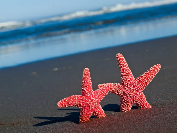 Two Red Starfish on the Beach with Ocean Waves in the Background — Stock Photo, Image