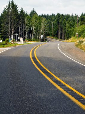 iki şeritli ülke bir orman yoluyla dolambaçlı bir yol kavisli