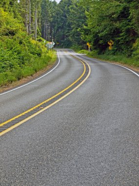 iki şeritli ülke bir orman yoluyla dolambaçlı bir yol kavisli