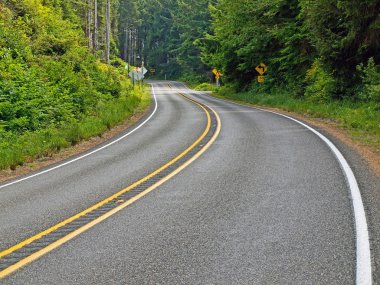 iki şeritli ülke bir orman yoluyla dolambaçlı bir yol kavisli