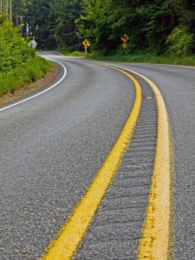 iki şeritli ülke bir orman yoluyla dolambaçlı bir yol kavisli