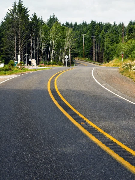 Curved Two Lane Country Road Winding Through a Forest — Stock Photo, Image