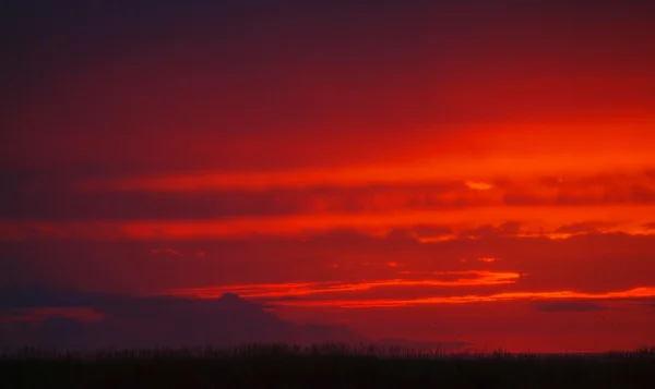 Jasně červené zataženo západ slunce nad oceánem — Stock fotografie