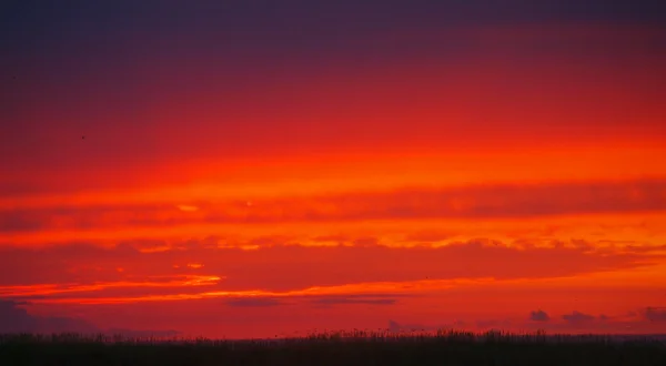 Jasně červené zataženo západ slunce nad oceánem — Stock fotografie