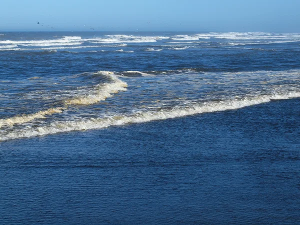 An einem sonnigen Tag bricht eine Meereswelle an Land — Stockfoto