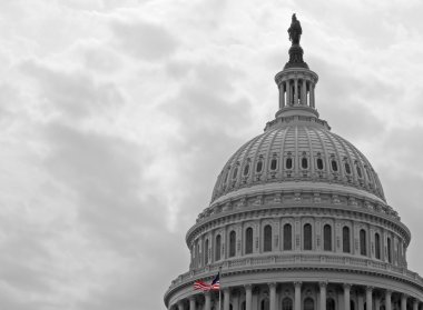 United States Capitol Building in Washington DC in Black & White and Am clipart