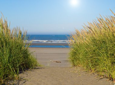 yeşil ve sarı beach çimenlerin üzerinde bir yol açık ve güneşli bir da da Ocean